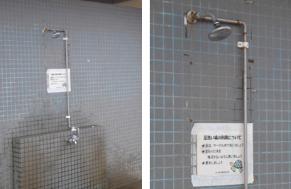 �V�����[�̎ʐ^