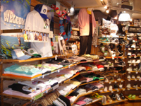 �����T�L�ʐ^�Q